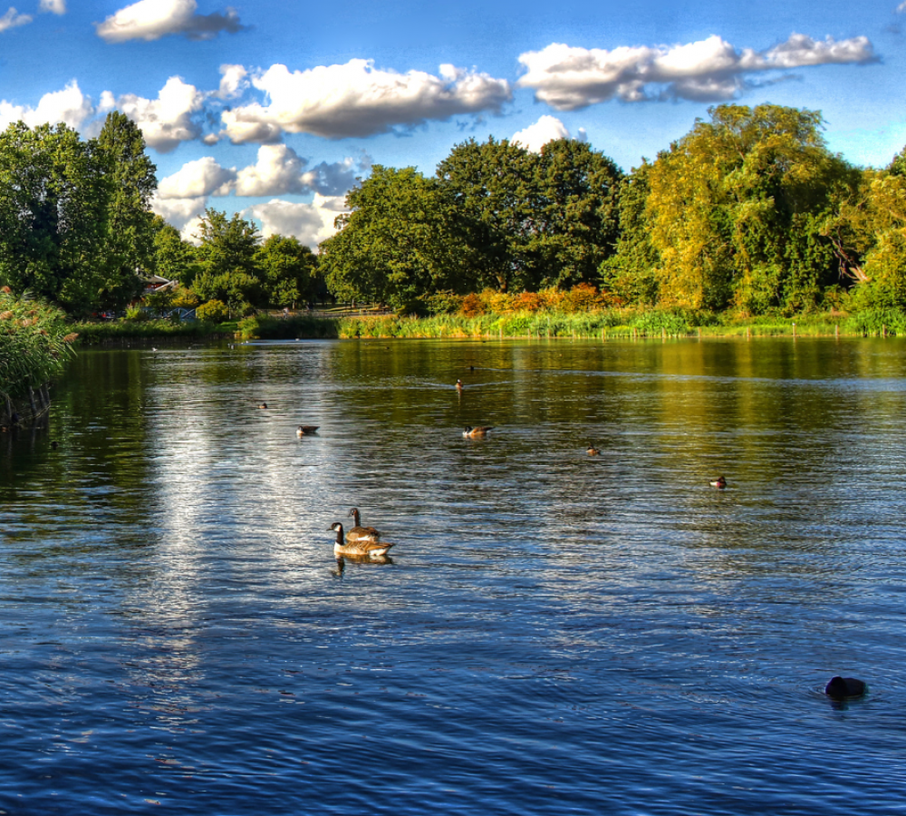 shobrooke park shobrooke park
