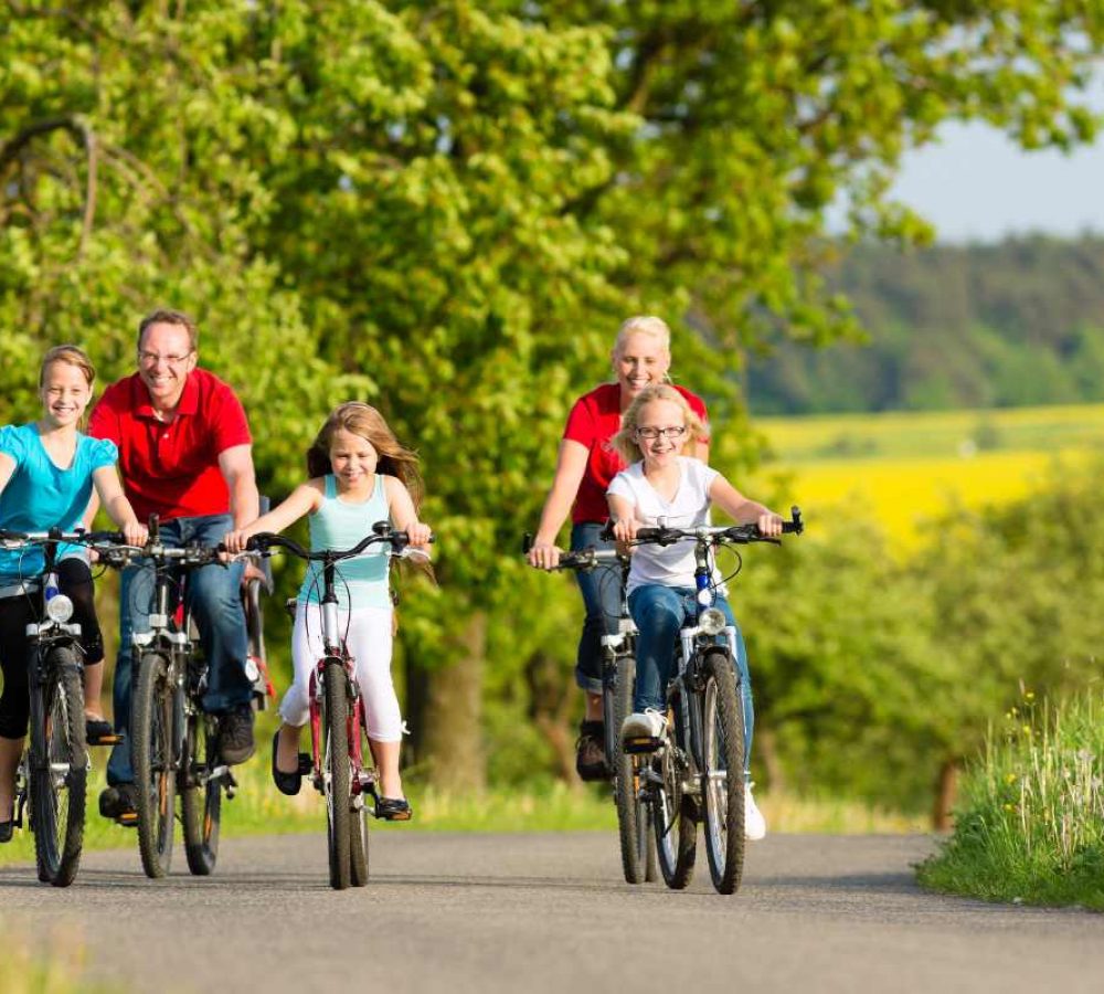take trail bike ride take trail bike ride